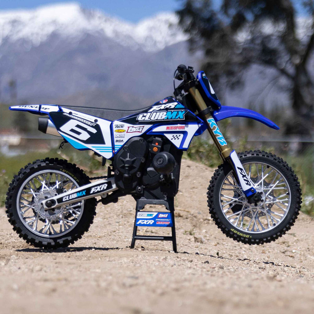 Losi 1/4 Promoto-MX