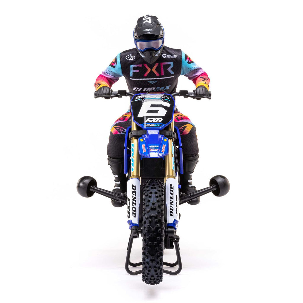 Losi 1/4 Promoto-MX