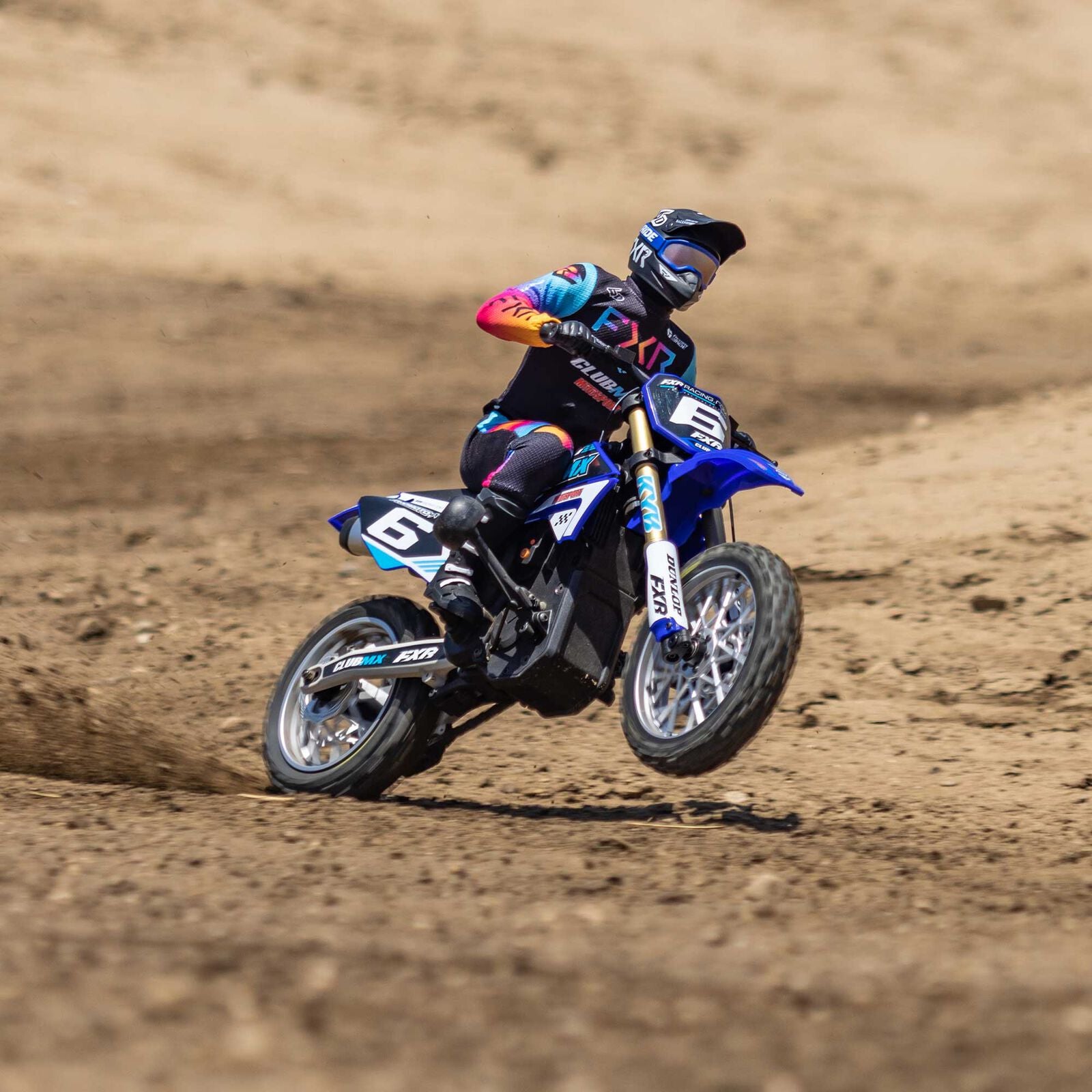 Losi 1/4 Promoto-MX