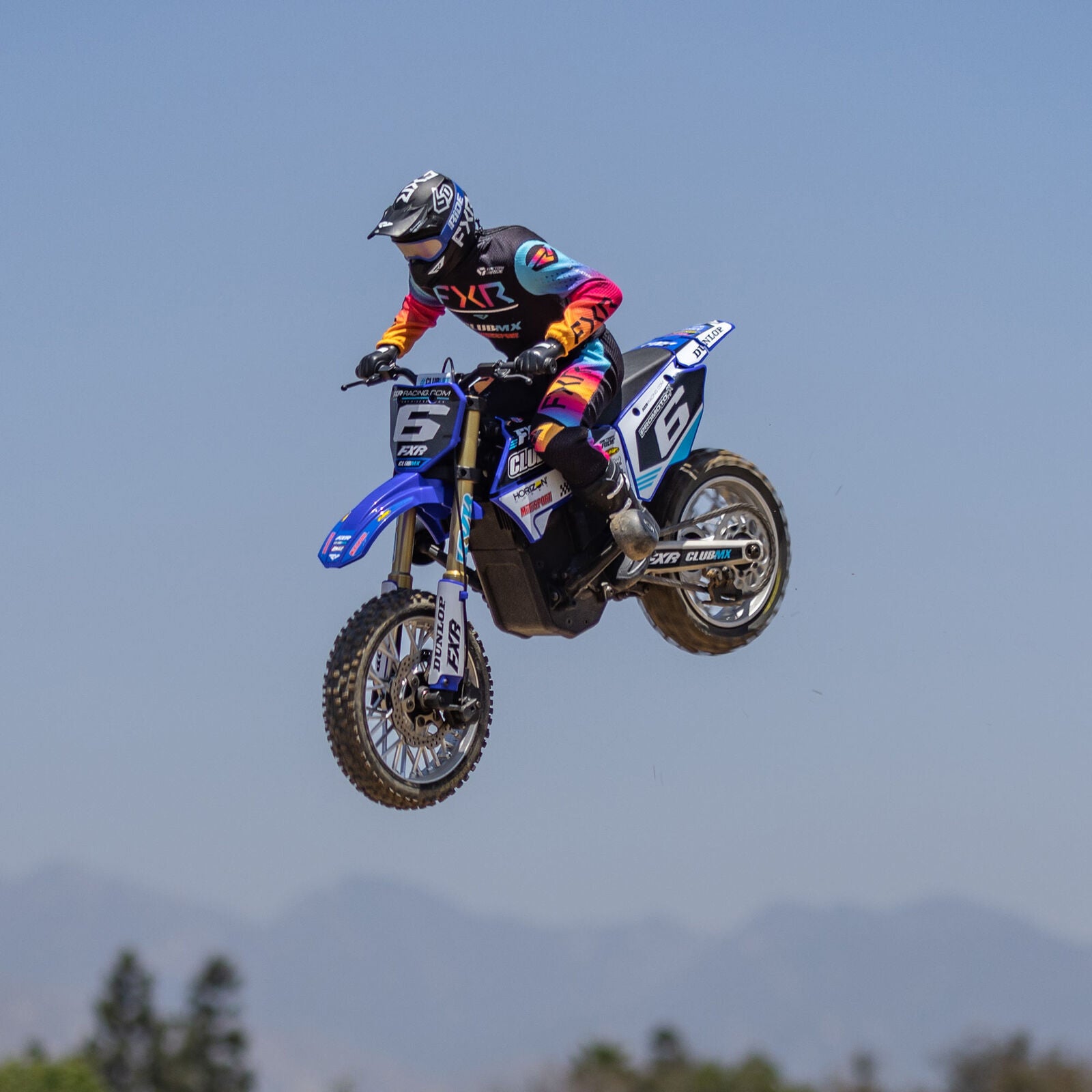 Losi 1/4 Promoto-MX